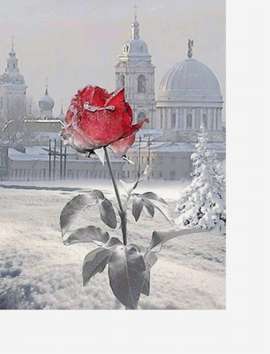 №2023517 - предпросмотр