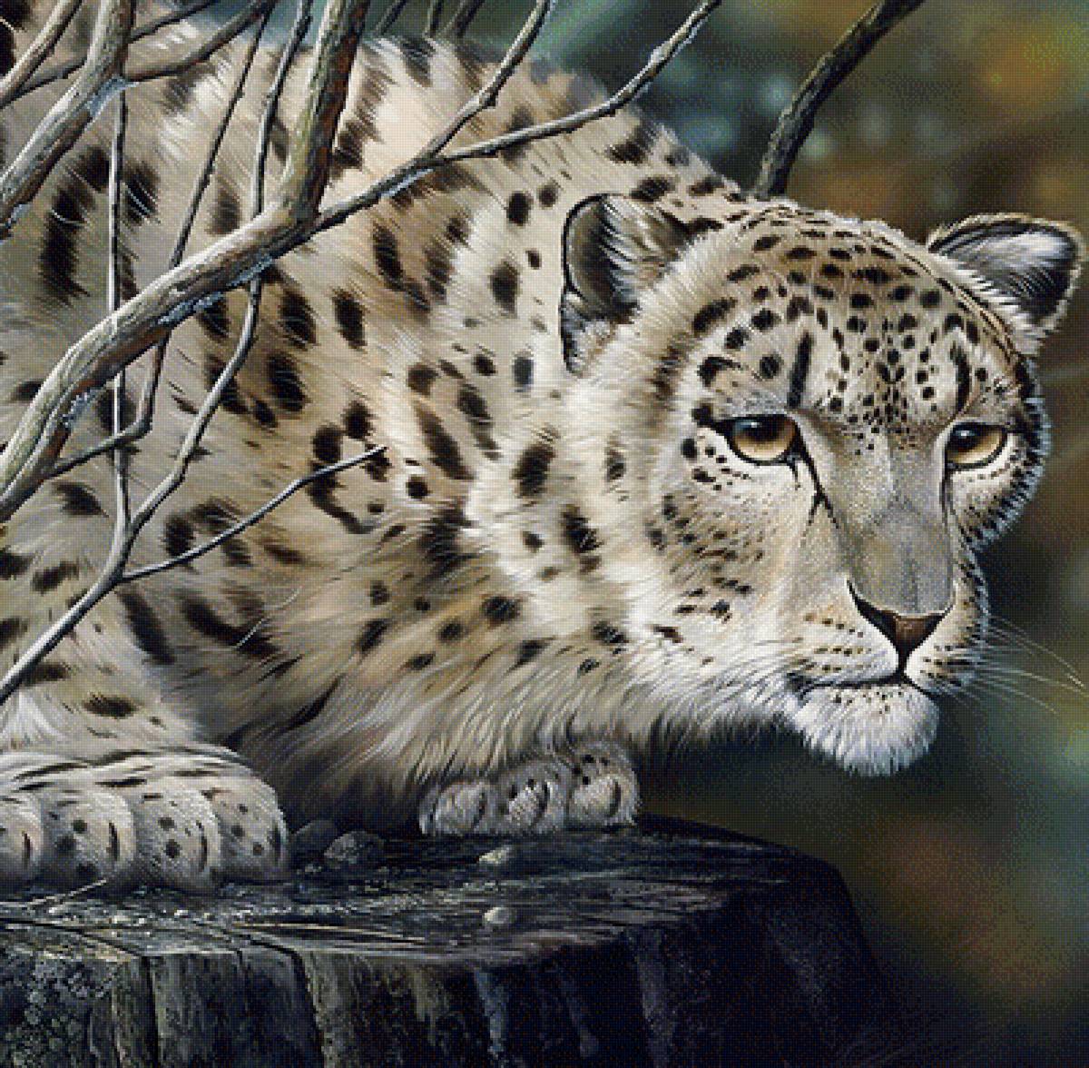 Леопард - леопард, художник jan weenink, горы - предпросмотр