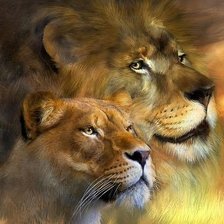 Схема вышивки «дикие»