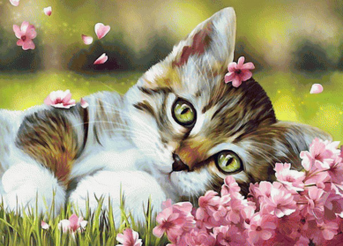 котёнок в цветах - цветы, котенок - предпросмотр