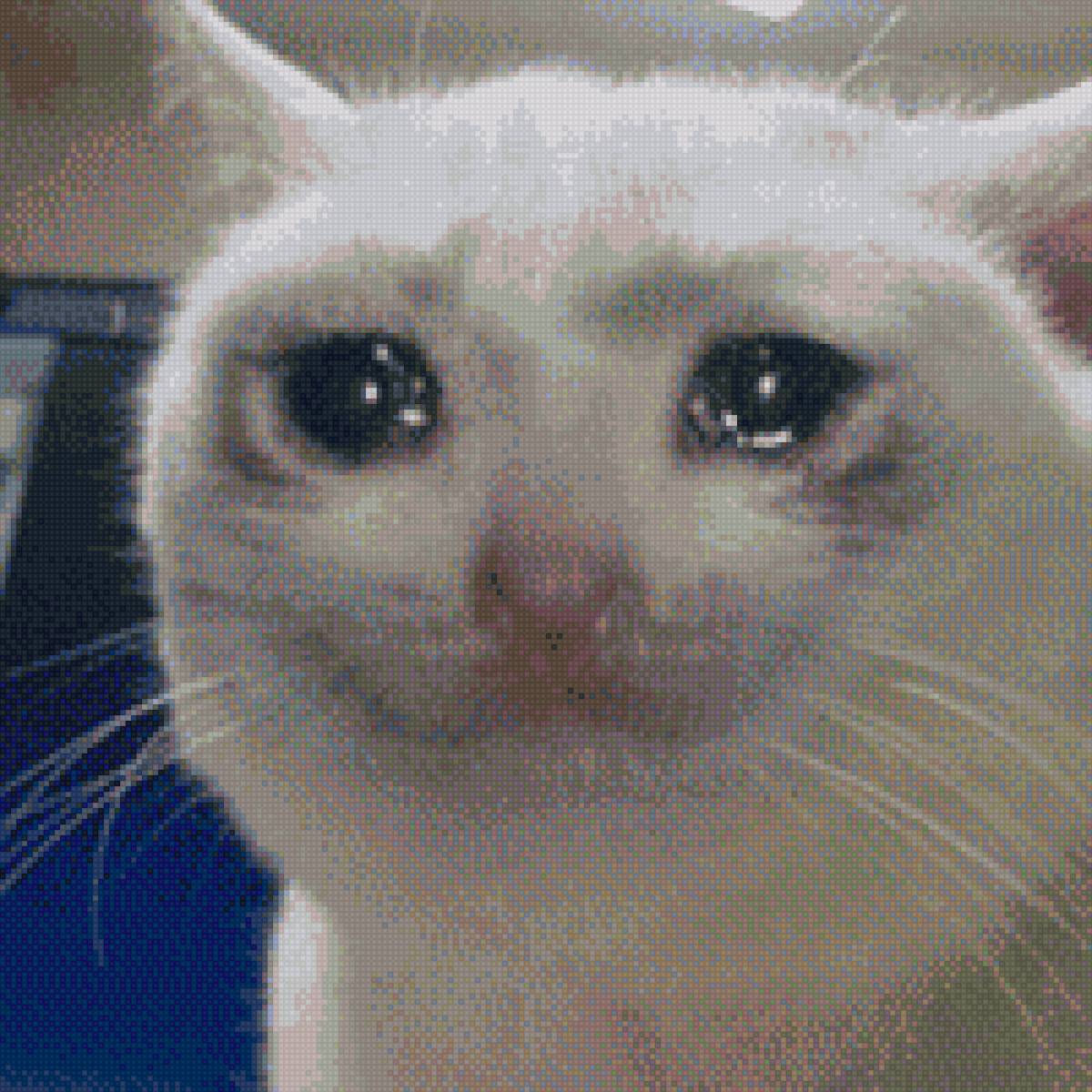 Котик плачет - кот, мем - предпросмотр