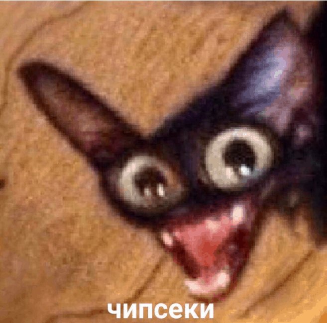 Чипсеки - мем, кот - оригинал