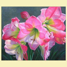 Схема вышивки «Солнечный амариллис.»