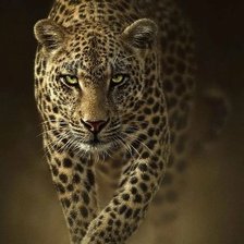 Схема вышивки «№2024034»