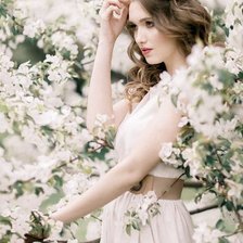 Схема вышивки «№2024047»