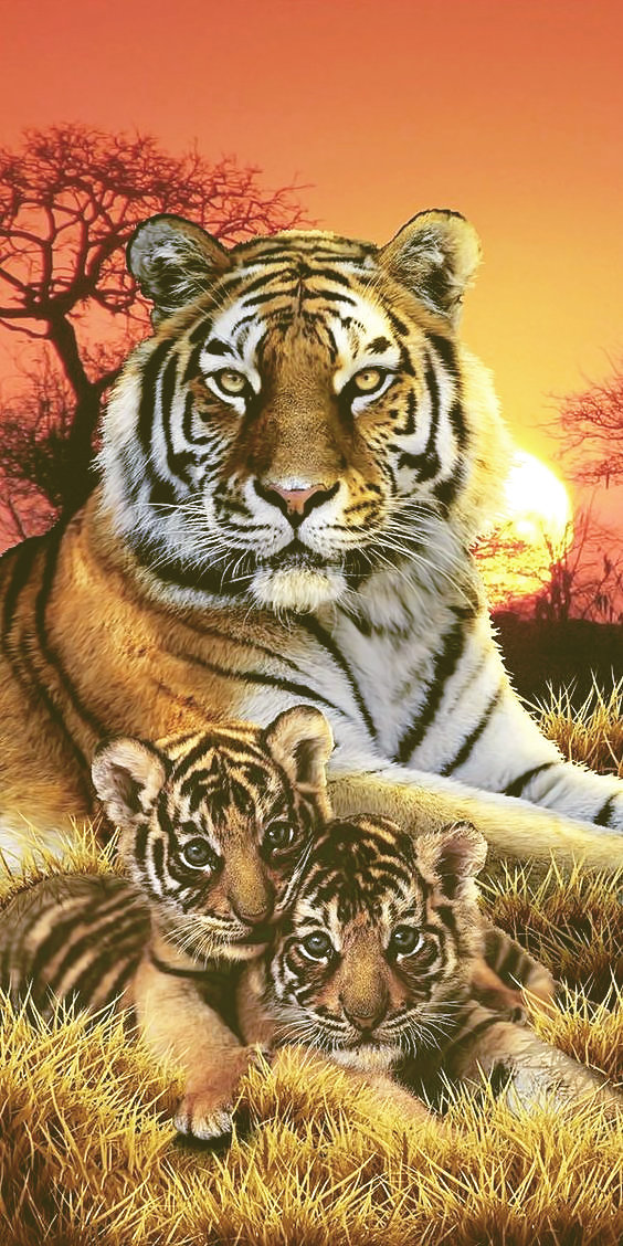Серия "Хищники". Тигры - тигрица, хищники, животные, тигрята - оригинал