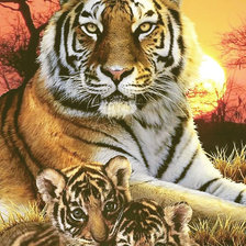 Схема вышивки «Серия "Хищники". Тигры»