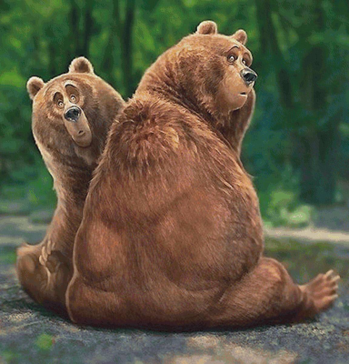 медведи - мир животных - предпросмотр