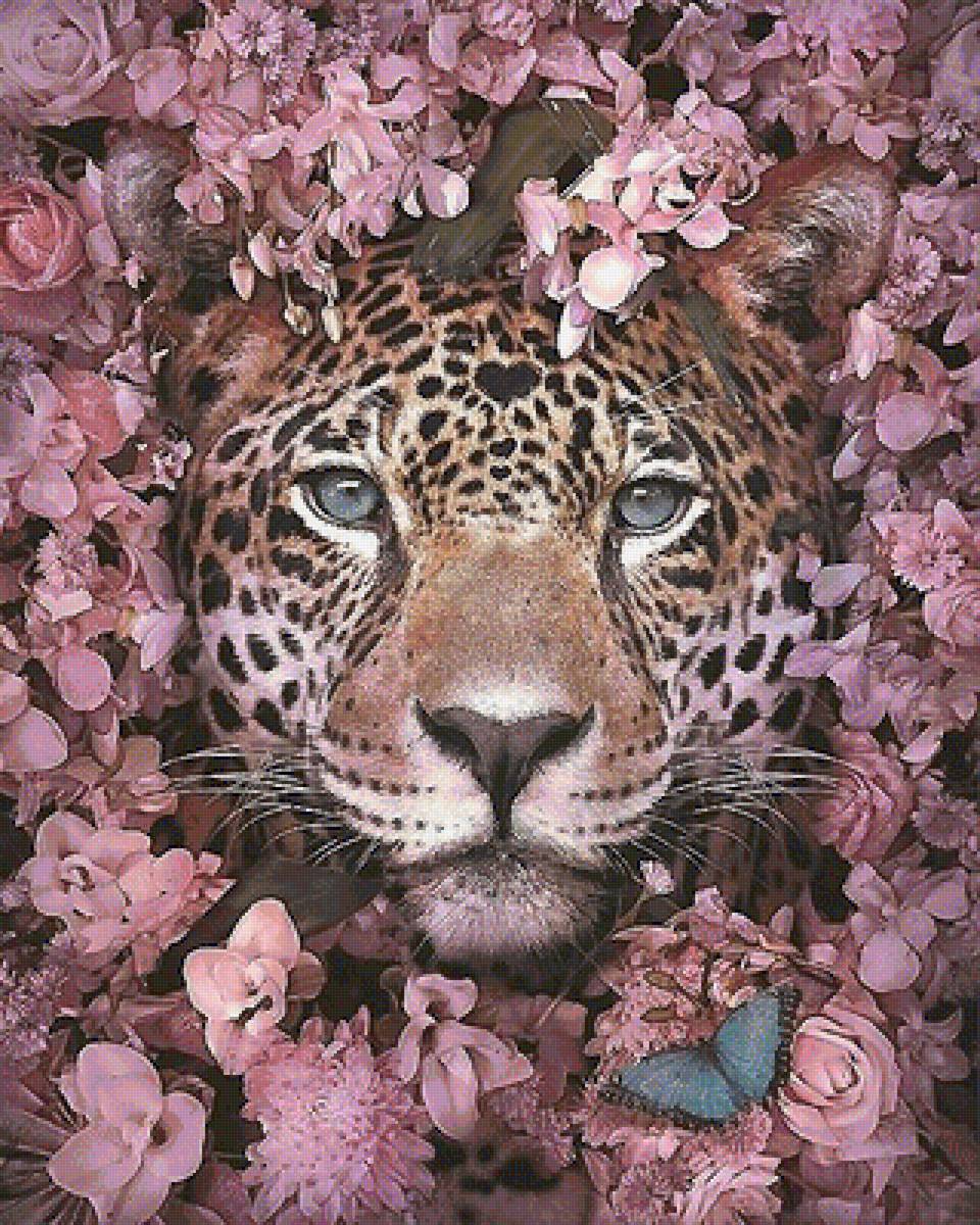 мир животных - мир животных - предпросмотр