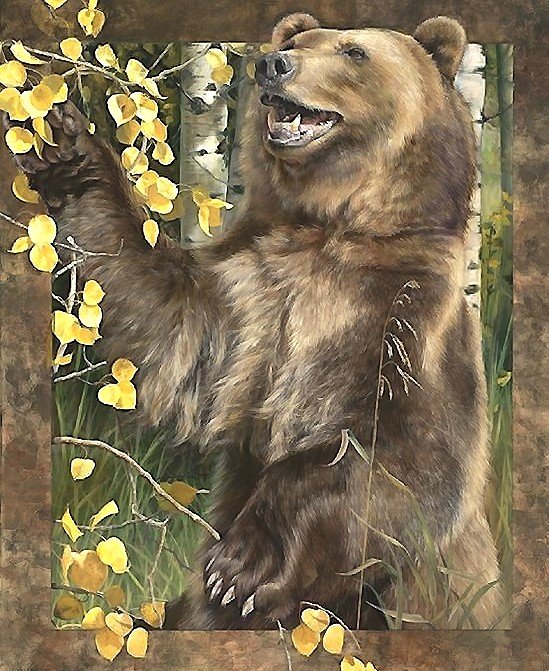 медведь - мир животных - оригинал