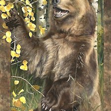 Схема вышивки «медведь»