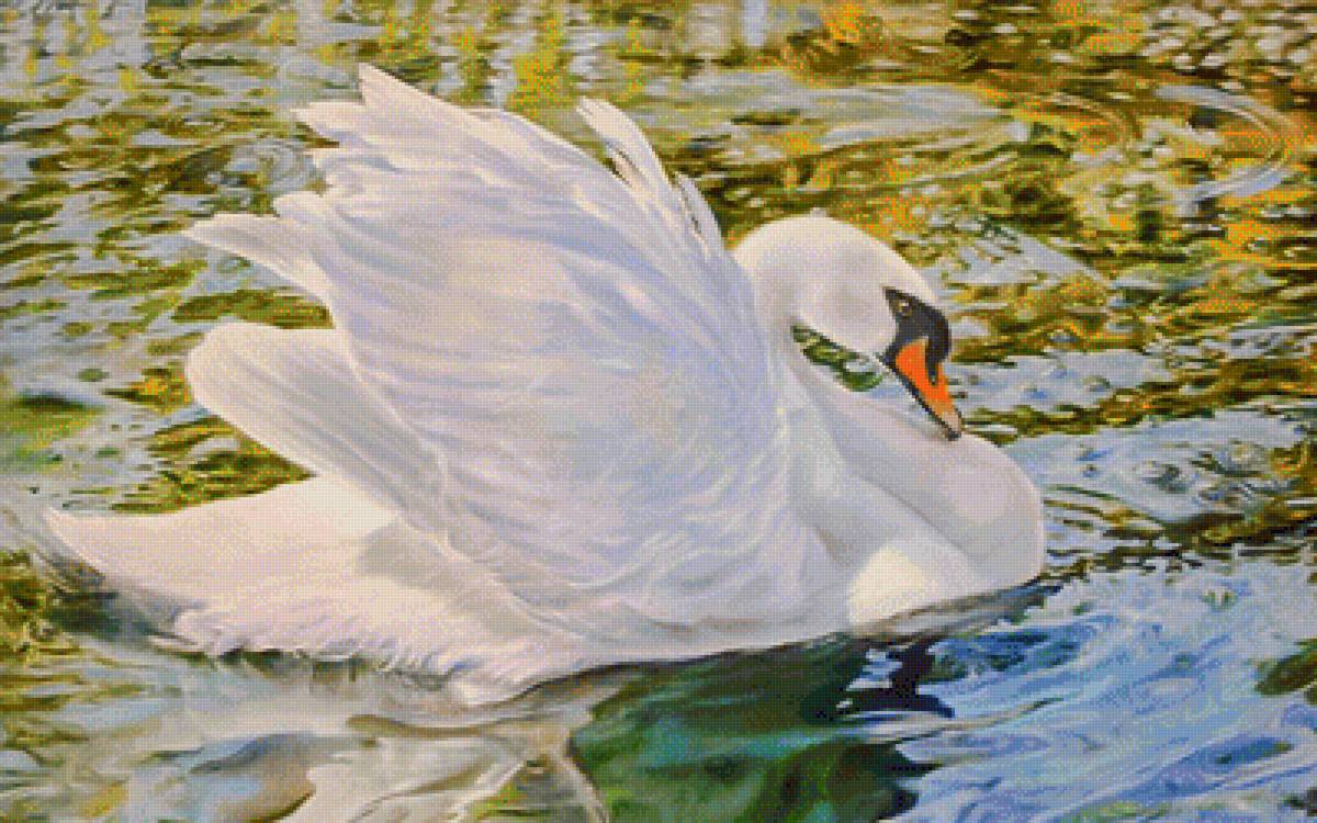 Lonely Swan. - galina kudryashova art.scenarys.birds. - предпросмотр