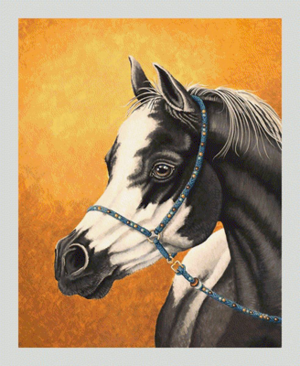 №2024781 - животные, лошади - предпросмотр