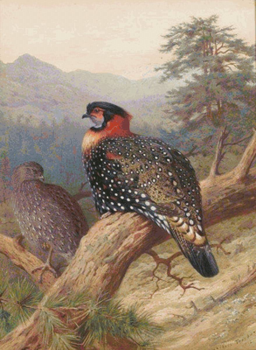 №2025119 - предпросмотр