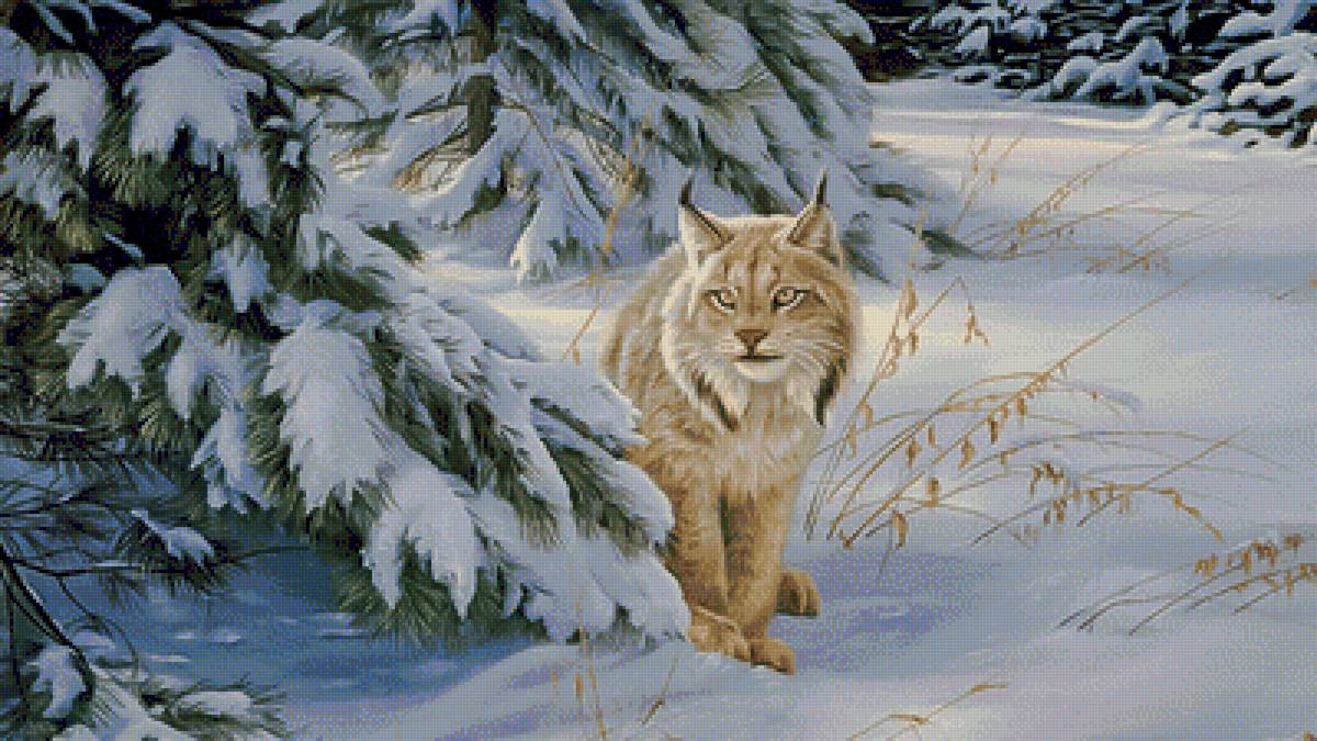 Watchful Eye-Lynx. - snowscapes.animals. - предпросмотр