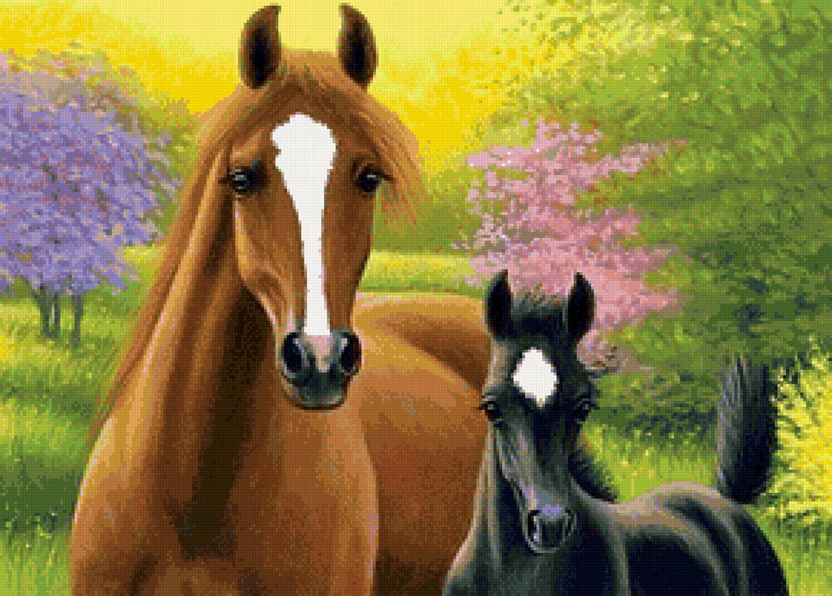 Мама - лето, лошади, жеребенок - предпросмотр