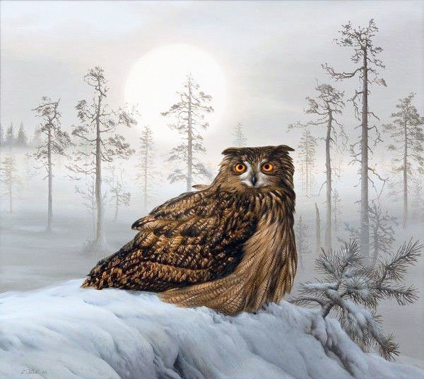 №2025894 - филин, зима, сыч, сова, птицы - оригинал