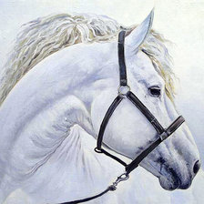 Схема вышивки «№2025977»