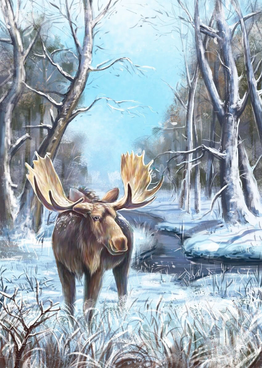 №2025998 - лес, животные, лось, зима - оригинал