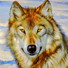 Wolf close-up.