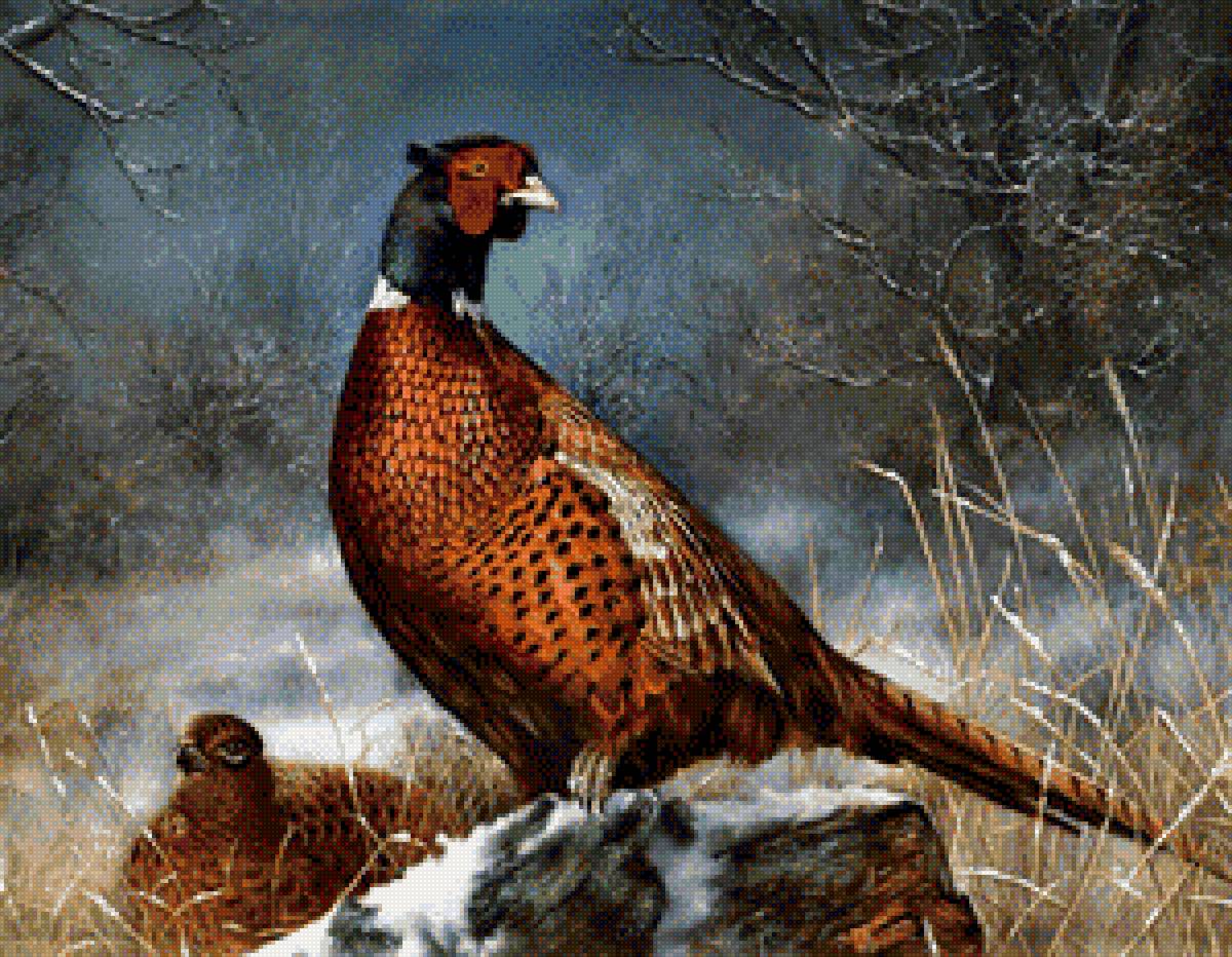 №2026053 - предпросмотр