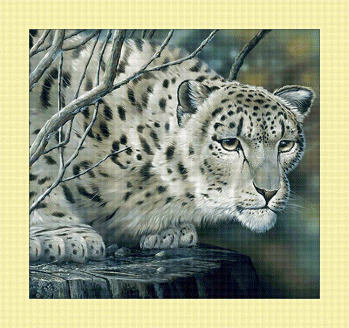 Ирбис. - животные, живопись, хищник, ирбис, снежный барс - предпросмотр