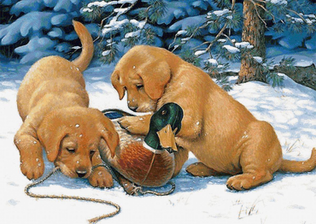 №2026403 - предпросмотр