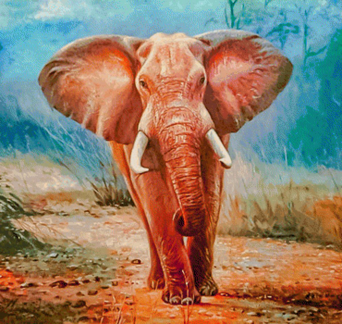Elephant. - augusto javino bruno painter.animals. - предпросмотр