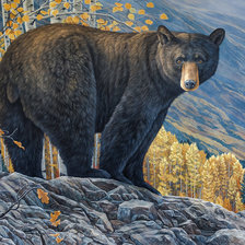 Схема вышивки «Aspen Grove, Black Bear.»