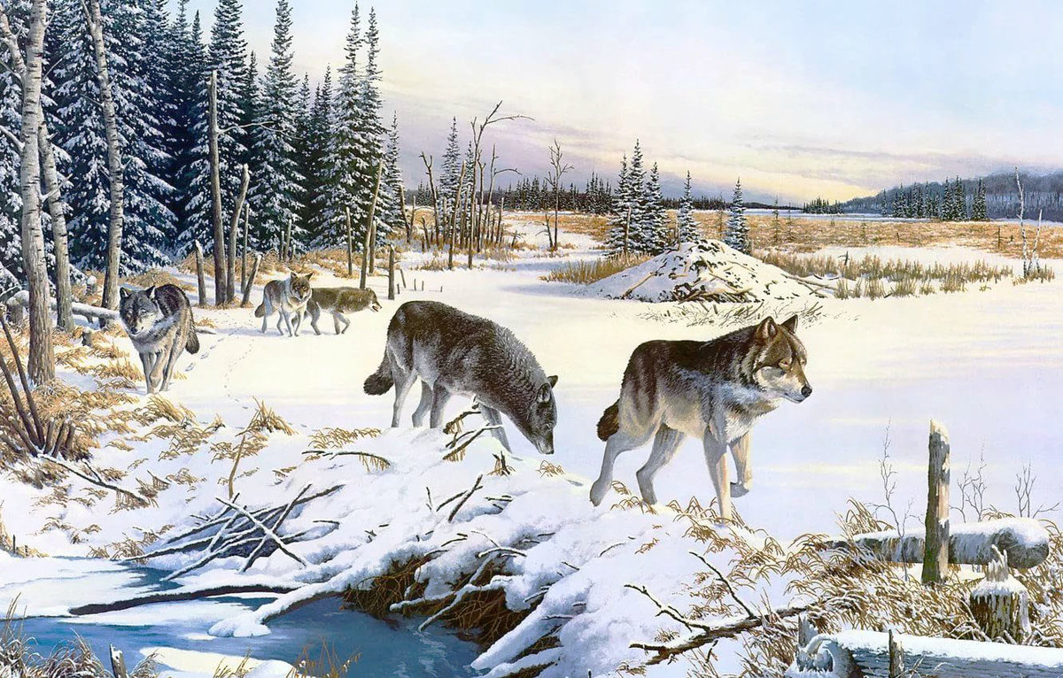 Худ. Данчурова - стая, зима, лес, волки - оригинал