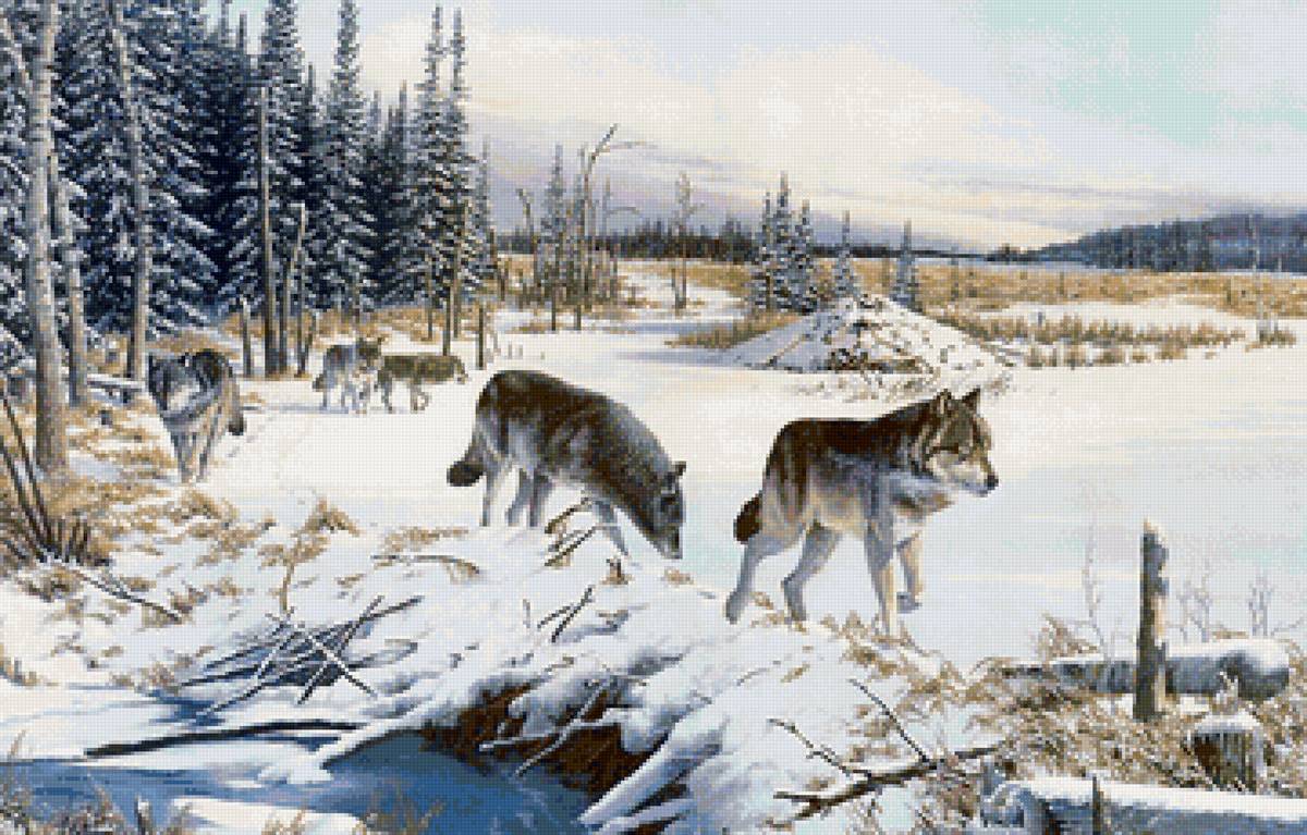 Худ. Данчурова - лес, волки, зима, стая - предпросмотр