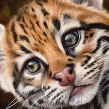 Схема вышивки «дикие»