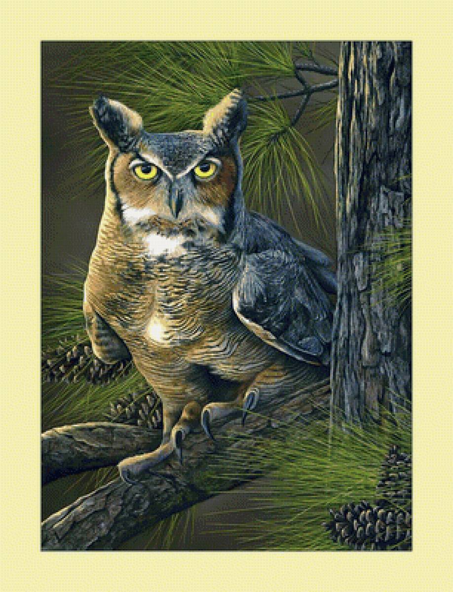 Филин. - ель, шишки, филин, живопись, сова, ветка - предпросмотр