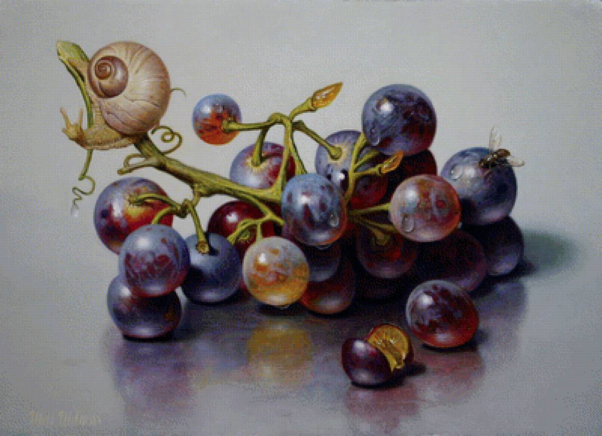 Виноград и улитка - улитка, виноград, натюрморт - предпросмотр