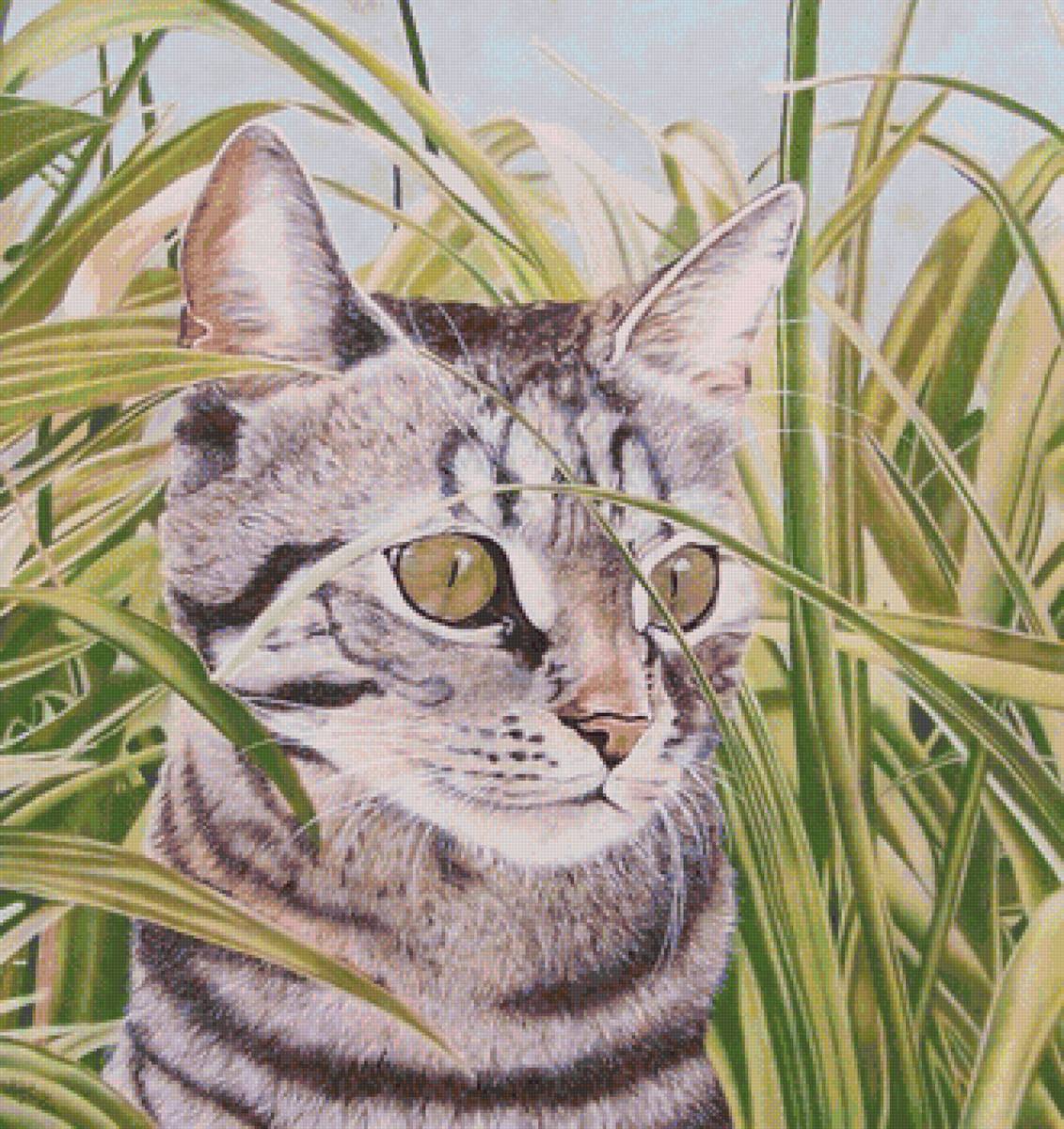 №2027413 - предпросмотр