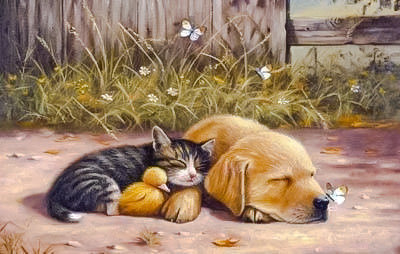 Sleepy Days. - jim killen painter.animals.birds. - оригинал
