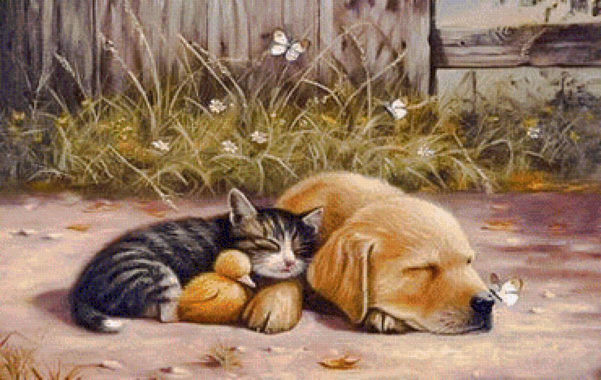 Sleepy Days. - jim killen painter.animals.birds. - предпросмотр