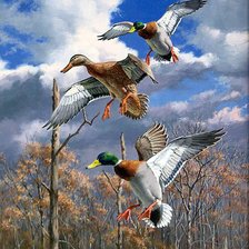 Схема вышивки «утки»