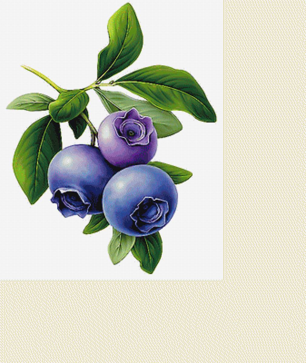 Серия "Фруктово-ягодная". - ягоды, фрукты - предпросмотр