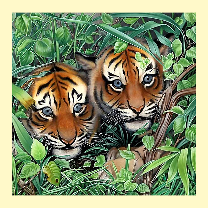 Серия "Хищники". Тигрята - тигрята, животные, хищники - оригинал