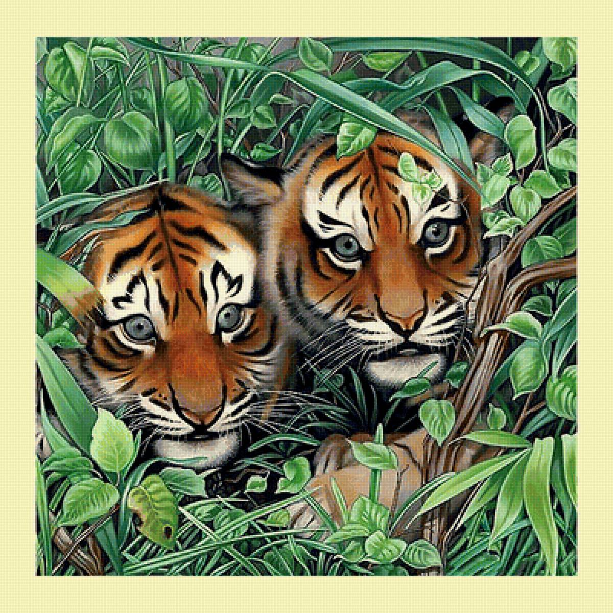 Серия "Хищники". Тигрята - тигрята, хищники, животные - предпросмотр