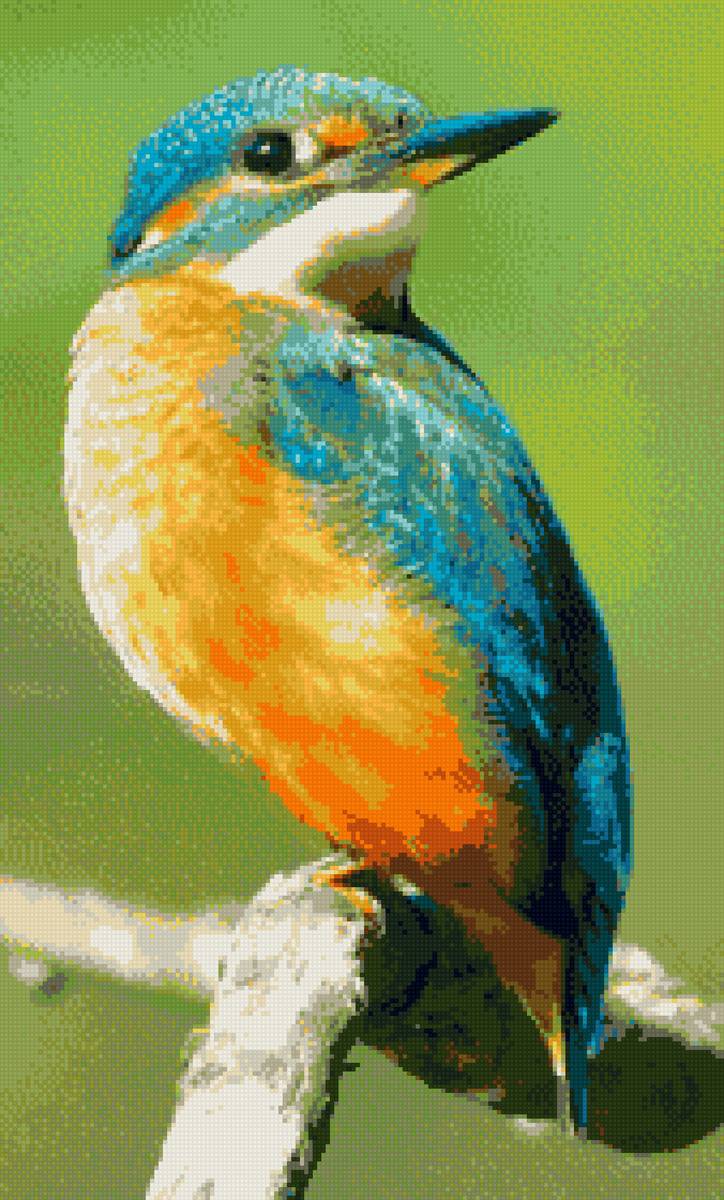 №2027643 - предпросмотр