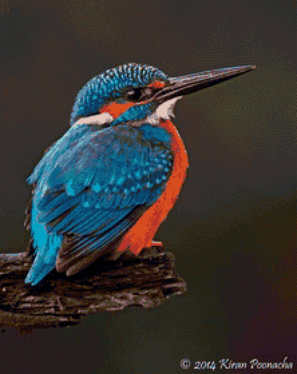 №2027646 - предпросмотр