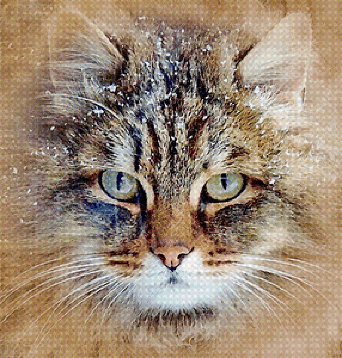 Снежный котик - предпросмотр