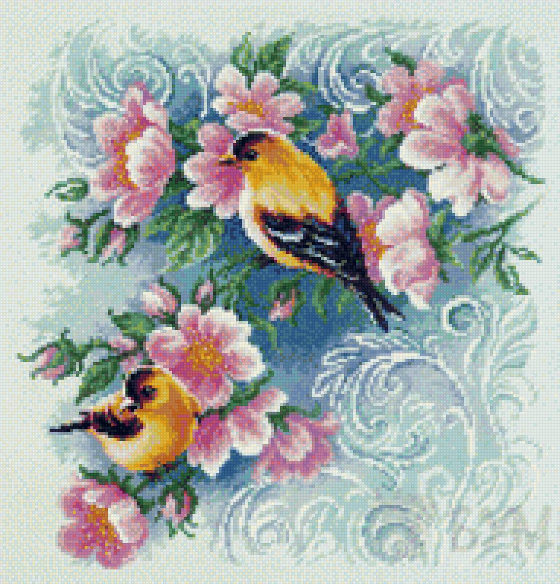 птицы - цветы, птицы - предпросмотр