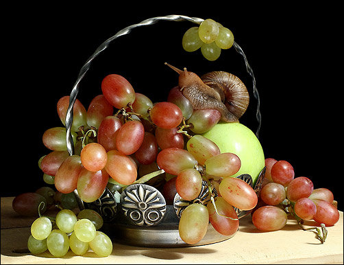 Виноград и улитка - улитка, виноград, ваза - оригинал