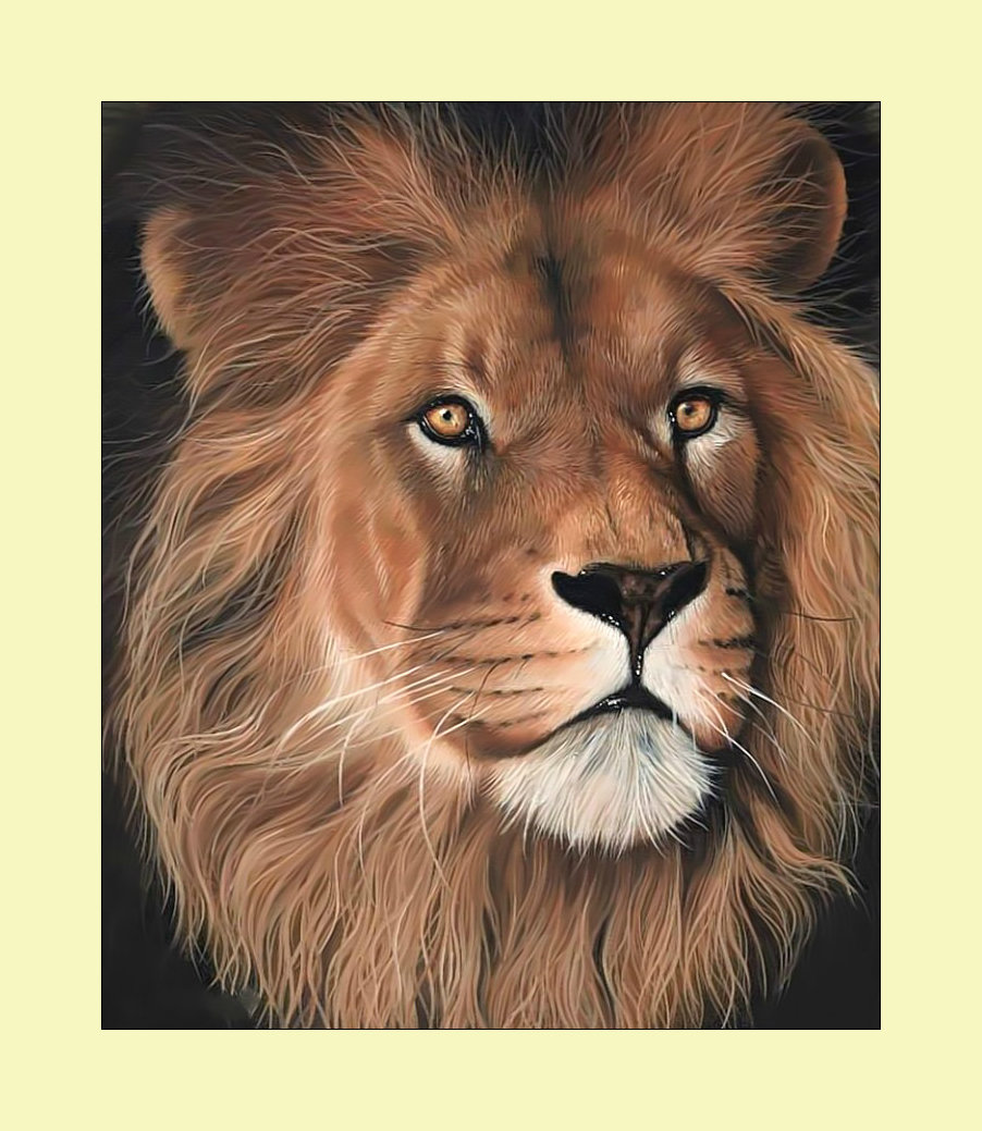 Лев. - леопард, хищник, взгляд, животные - оригинал