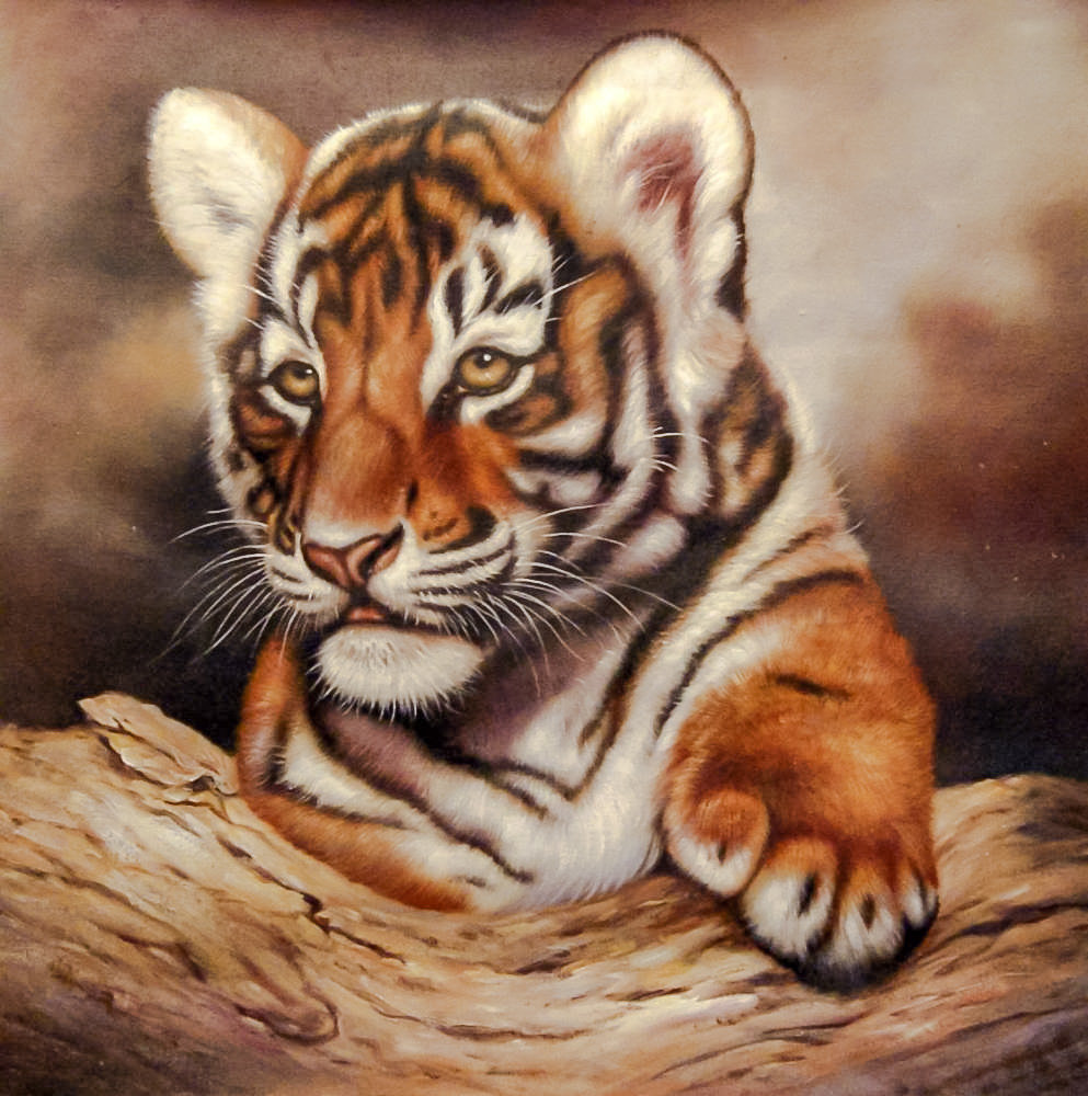 Tiger Cubs. - augusto javino bruno painter.animals. - оригинал