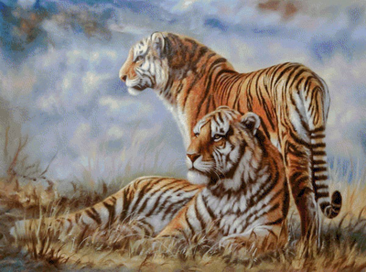 Couple Tigers. - augusto javino bruno painter.scenarys.animals. - предпросмотр