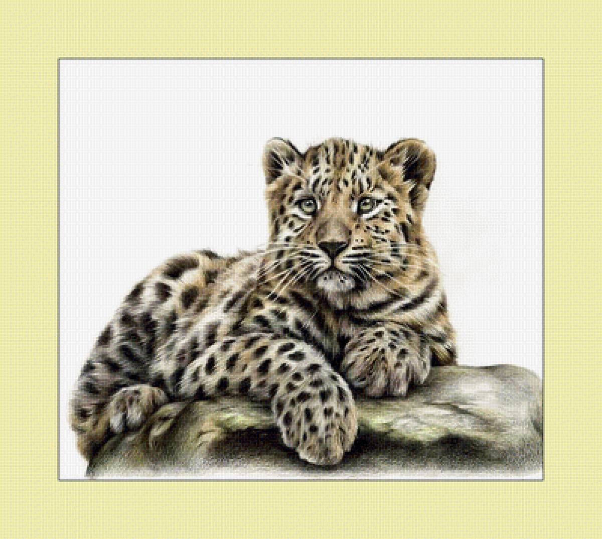 Маленький леопард. - леопард, животные., дикие, котенок - предпросмотр